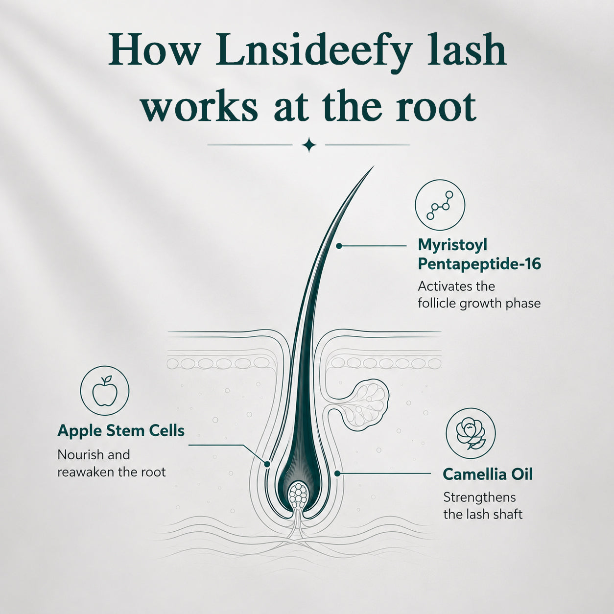 Lnsideefy lash eyelash growth serum